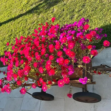 Tenuta Lu Beddhru Мелендуньо