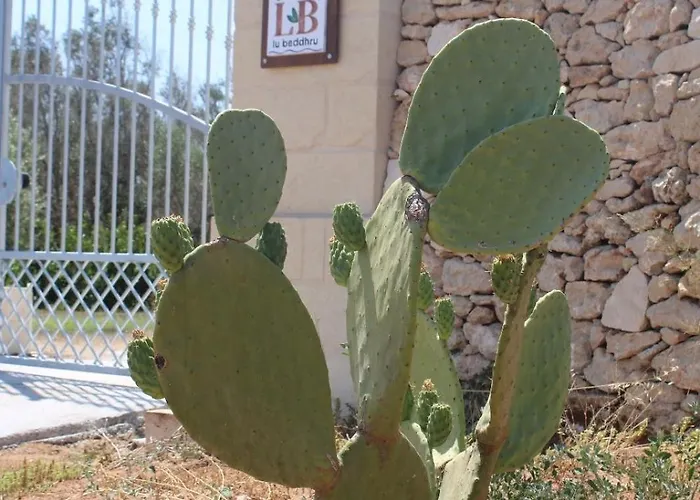 Casa de hóspedes Tenuta Lu Beddhru